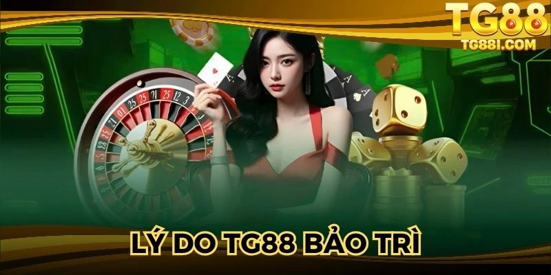 Lý Do TG88 Bảo Trì - Thông Tin Hữu Ích Bạn Cần Nắm