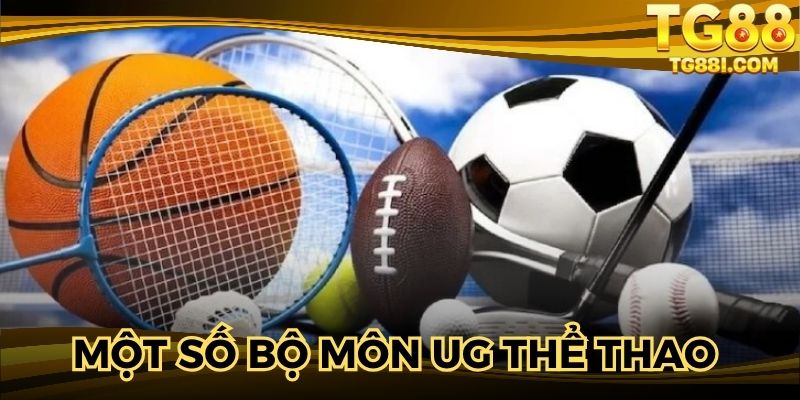 Một số bộ môn UG thể thao được yêu thích